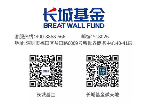 長(zhǎng)城新優(yōu)選混合基金